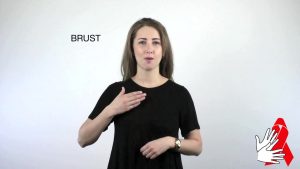 Brust