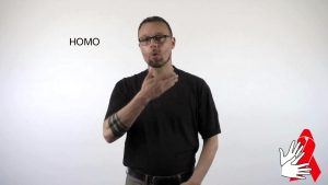 Homo