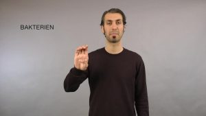 Bakterien