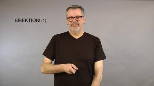 Erektion 1