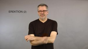 Erektion 2